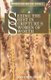 Seeing the Best in Scripture's Women of Worth (Paperback): Andy McIlree