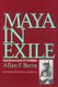 Maya In Exile - Guatemalans in Florida (Paperback): Allan Burns