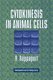 Cytokinesis in Animal Cells (Paperback, New ed): R. Rappaport