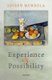 Experience and Possibility (Hardcover): Joseph Mendola