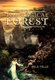 The Magical Forest (Hardcover): Nils Telle