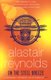 On the Steel Breeze (Paperback): Alastair Reynolds