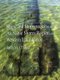 Ships and Shipwrecks of the Au Sable Shores Region of Western Lake Huron (Paperback): John M. O'Shea