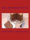 Howto for Windows and Internet Virgins (Paperback): Bill Rosoman Dip Cs