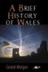 Brief History of Wales, A (Paperback): Gerald Morgan