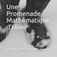 Une Promenade Mathematique d'Hiver (French, Paperback): Deanna Pecaski Mclennan