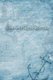 See-Meilen-Buch - Zum Notieren der gefahrenen Seemeilen * Meilenbuch (German, Paperback): Bordbuch Yacht