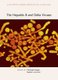 The Hepatitis B and Delta Viruses (Hardcover): Christoph Seeger Phd, Stephen Locarnini
