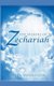 The Visions of Zechariah (Paperback): Brian Johnston