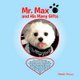 Mr. Max and His Many Gifts (Paperback): Pamela DeLuca