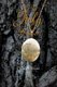 Only Jody Knows (Paperback): Craig B. Ewald