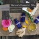 Nature's Essential Oils - Aromatic Alchemy for Well-Being (Paperback): Cher Kaufmann