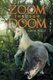 Zoom Through Doom (Paperback): Ashok Malli
