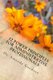 12 Power Principles for Administrative Professionals (Paperback): Amanda H Goodson