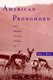 American Pronghorn - Social Adaptations and the Ghosts of Predators Past (Paperback, New): John A. Byers