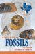 A Field Guide to Fossils of Texas (Paperback, 2 Revised Edition): Charles Finsley