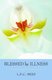 Blessed by Illness (Paperback): L.F.C. Mees