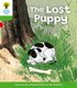 Oxford Reading Tree: Level 2: More Patterned Stories A: The Lost Puppy (Paperback): Roderick Hunt