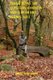 ROBERT BURNS 100 QUESTIONS- A Night In with a dram and friends - Volume 2 (Paperback): David Westwood