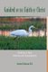 Guided by the Faith of Christ (Paperback): Stephen R. Kaufman