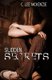 Sudden Secrets (Paperback): C. Lee McKenzie