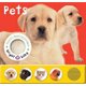 Pets (Board book): Roger Priddy