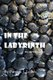 In the Labyrinth (B&W Edition) (Paperback): Patrick J. Leach