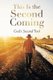 This Is the Second Coming (Paperback): God's Second Tool
