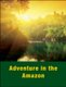 Adventure in the Amazon - Activity Guide (Paperback): LL Ukens