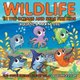 Wildlife in the Oceans and Seas for Kids (Aquatic & Marine Life) 2nd Grade Science Edition Vol 6 (Paperback): Baby Professor