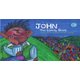 John The Lonely Giant (Paperback): J. M. Lazell