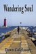Wandering Soul (Paperback): Dawn Colclasure