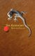 The Raspberry Man (Paperback): Richard Geller