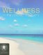 Wellness And Physical Therapy (Paperback): Sharon Elayne Fair