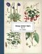 Vintage Botany Prints - Vol. 14 (Paperback): E. Lawrence