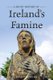 A Short History of Ireland's Famine (Paperback): Ruan O'Donnell