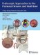 Endoscopic Approaches to the Paranasal Sinuses and Skull Base - A Step-by-Step Anatomic Dissection Guide (Hardcover): Manuel...