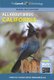 All About Birds California (Paperback): Cornell Lab Of Ornithology
