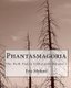 Phantasmagoria - The Dark Poetry Collection Volume I (Paperback): Eric Myford