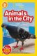 National Geographic Readers: Animals in the City (L2) (Hardcover): Elizabeth Carney