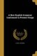 A New English Grammar Conformed to Present Usage (Paperback): Alfred Holbrook