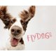 Flydogs (Hardcover): Todd R. Berger