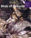 Birds of Ontario: Habitat Requirements, Limiting Factors, and Status - Volume 2-Nonpasserines: Shorebirds through Woodpeckers...