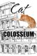 The Cat in the Colosseum - Stories and Poems (Paperback): Alan H. Friedman