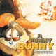 A Funny Bunny (Paperback): Bonnie Martin