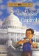 The Ghost Who Haunted the Capitol (Paperback): Steve Brezenoff