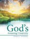 God's Amazing Creativity (Paperback): Ronald L Epperson