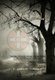 Triple Oaks (Paperback): C. Edward Samuels