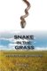 Snake in the Grass - An Everglades Invasion (Paperback): Larry Perez