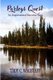 Parleys Quest - An Inspirational Burnrise Saga (Paperback): Troy C Wagstaff